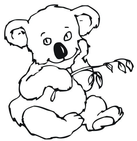 Cute Koala With Eucalyptus Leaves Coloring Page